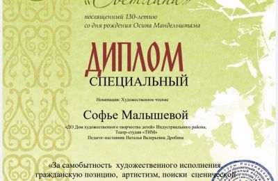 Всероссийский фестиваль Зимняя фантазия. Новосибирск 2020