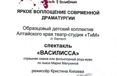 Достижения коллектива 2025-2026 учебный год