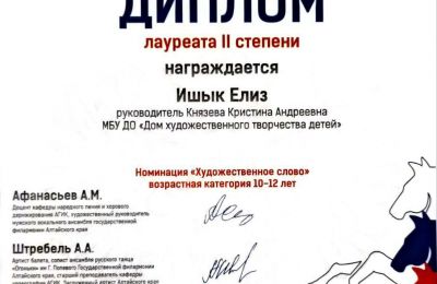 Достижения коллектива 2025-2026 учебный год