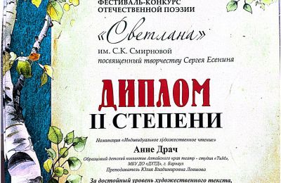 Достижения коллектива 2025-2026 учебный год