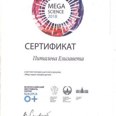 2018-2019
