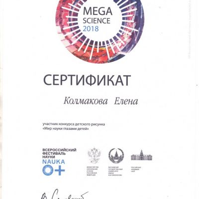 2018-2019
