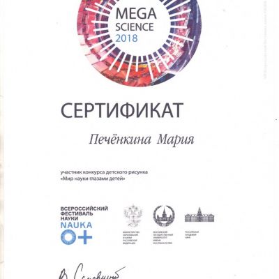 2018-2019
