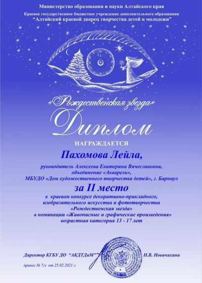 Достижения коллектива. 2020-2021 учебный год