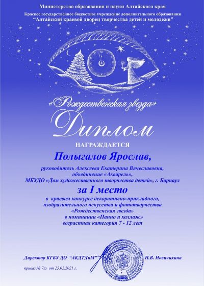 Достижения коллектива. 2020-2021 учебный год