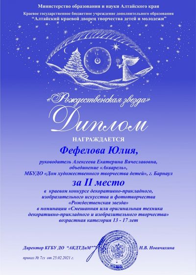 Достижения коллектива. 2020-2021 учебный год