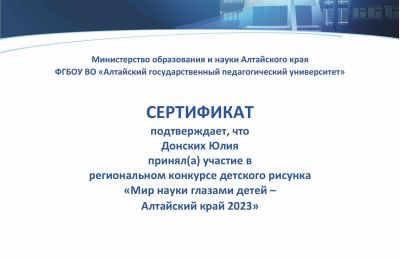 Достижения коллектива за 2023-2024 учебный год