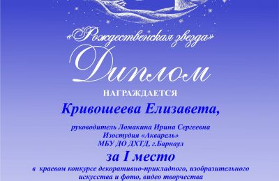 Достижения коллектива за 2024-2025 учебный год