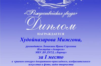 Достижения коллектива за 2024-2025 учебный год