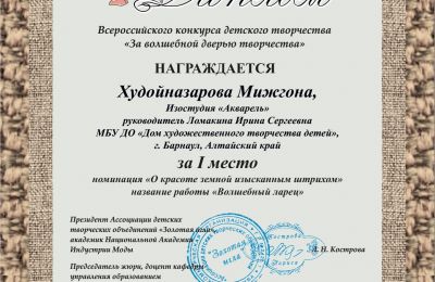 Достижения коллектива за 2024-2025 учебный год