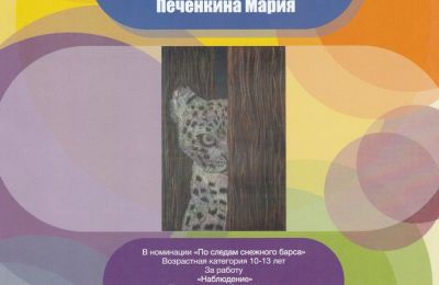 Наши награды