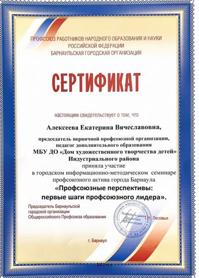 Достижения педагогов