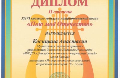 Достижения коллектива 2023-2024 учебный год
