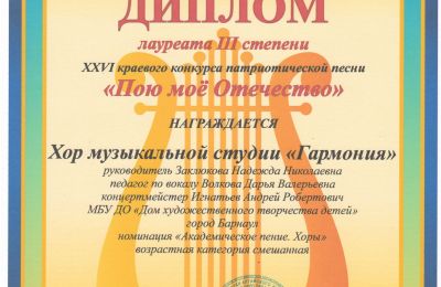 Достижения коллектива 2023-2024 учебный год