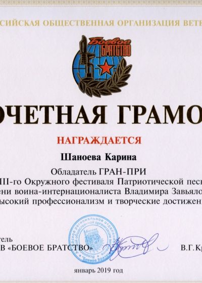 Достижения «Камертона» за 2018-2019 учебный год