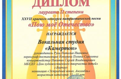 Достижения коллектива 2024-2025 учебный год