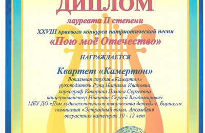 Достижения коллектива 2025-2026 учебный год