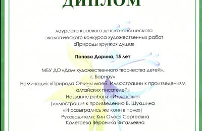 Достижения коллектива 2024-2025 учебный год