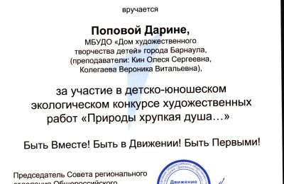 Достижения коллектива 2024-2025 учебный год