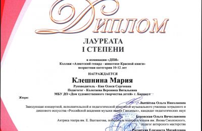 Достижения коллектива 2024-2025 учебный год