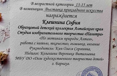 Достижения коллектива 2025-2026 учебный год