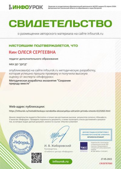 Достижения педагога студии изобразительного творчества «Палитра»Дома художественного творчества детей 