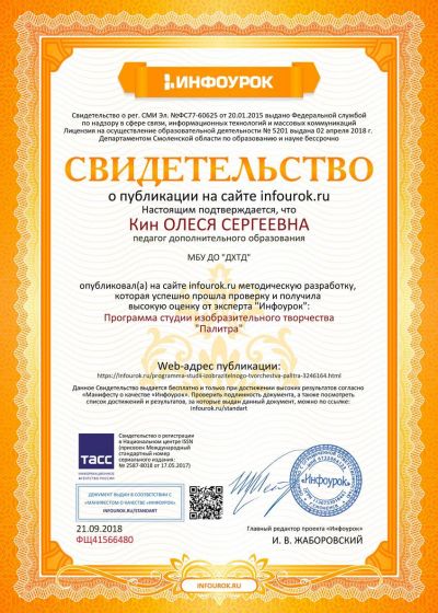 Достижения педагога студии изобразительного творчества «Палитра»Дома художественного творчества детей 