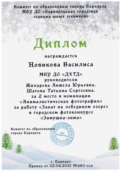 Победители в номинации 
