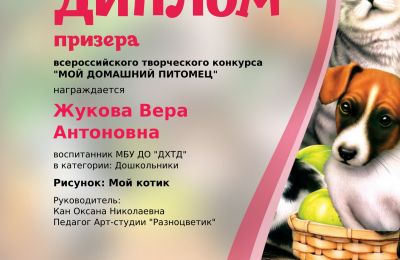 Достижения коллектива 2023-2024
