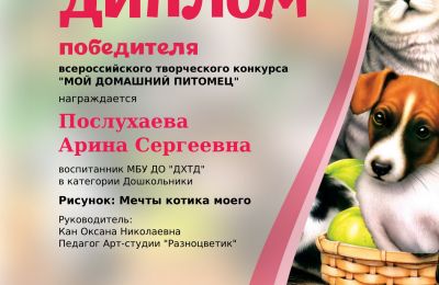 Достижения коллектива 2023-2024