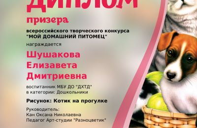 Достижения коллектива 2023-2024