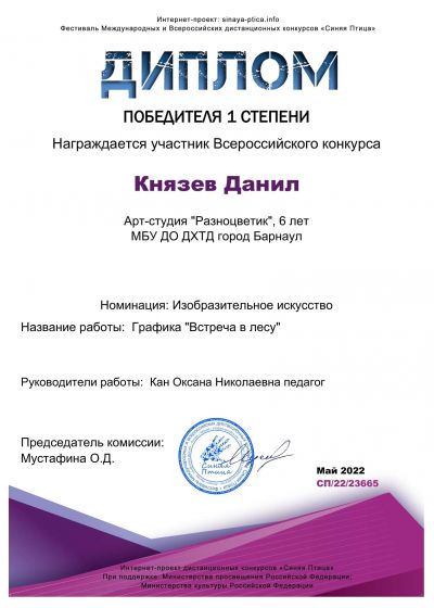 Достижения 2021-2022