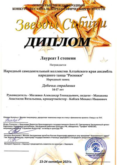 Достижения коллектива на фестивале «Морошка»