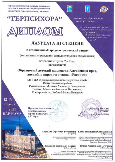 Достижения коллектива на фестивале «Морошка»