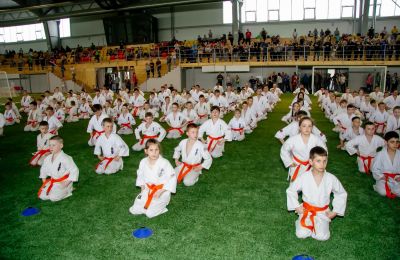 Фото участия школы каратэ Тикара додзё дома художественного творчества детей Барнаула в состязанияхв состязаниях