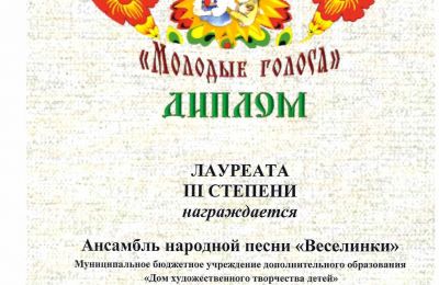 Достижения коллектива 2025-2026 учебный год