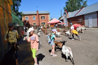 ГОЛ Лира. Поездка на Страусиную ферму