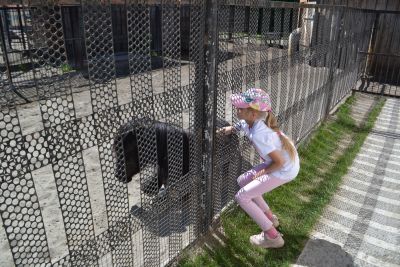 В зоопарке