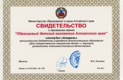 Свидетельства о присвоении творческим коллективам звания