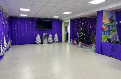 Дан старт новогодним праздникам в нашем Доме!