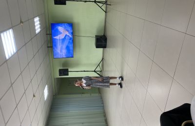 Белая ПТИЦА Счастья