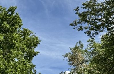 Юные художники заботятся о природе: экопленэр в изостудии «Акварель»