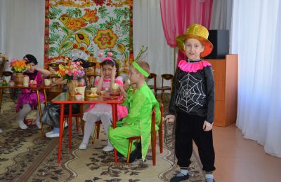 «Муха-Цокотуха». ДОУ 222
