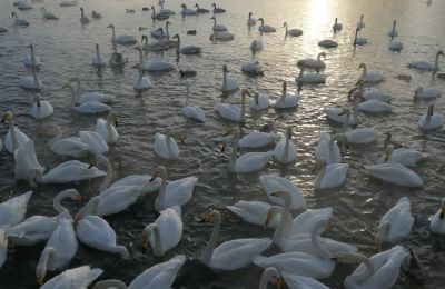 Зимние каникулы в ДХТД