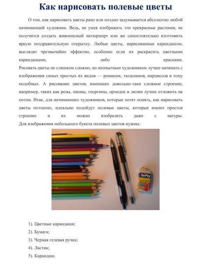 Полевые цветы цветными карандашами