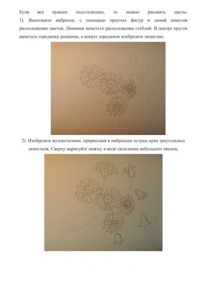 Полевые цветы цветными карандашами