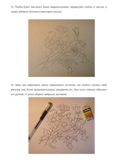 Полевые цветы цветными карандашами