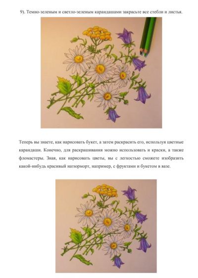 Полевые цветы цветными карандашами