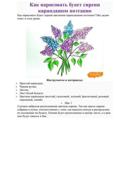 Как нарисовать сирень цветными карандашами. Мастер-класс